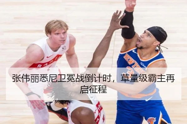 张伟丽悉尼卫冕战倒计时，草量级霸主再启征程