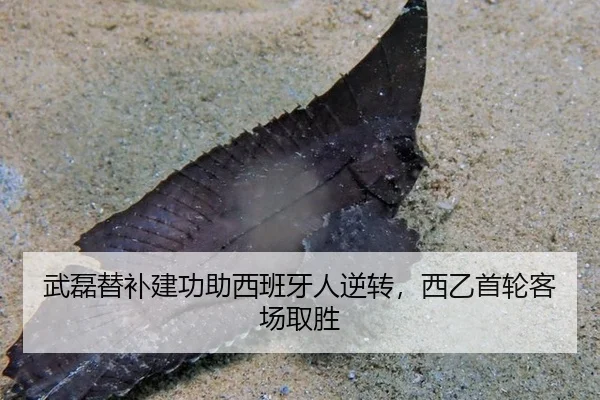 wu-lei-ti-bu-jian-gong-zhu-xi-ban-ya-ren-ni-zhuan-xi-yi-shou-lun-ke-chang-qu-sheng-3-889.jpg