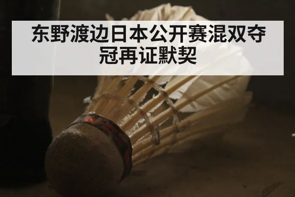 东野渡边日本公开赛混双夺冠再证默契